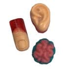 Gruesome Gummies Body Parts Mini Gummy Sweets Novelty Candy Rose Confectionery 8g